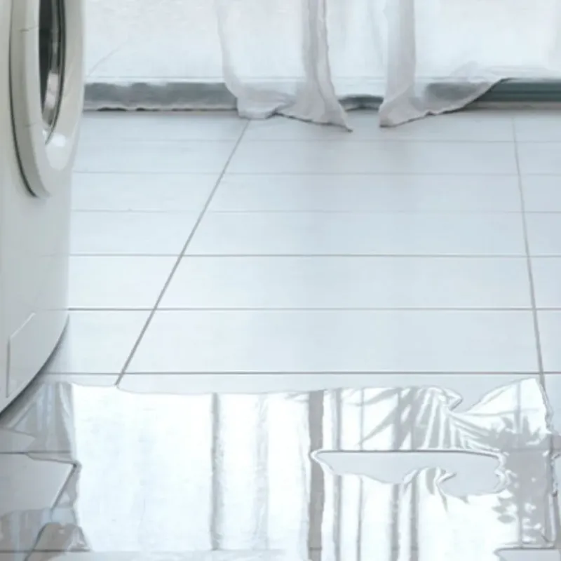 Appliance Leak Cleanup in East Hampton, VA