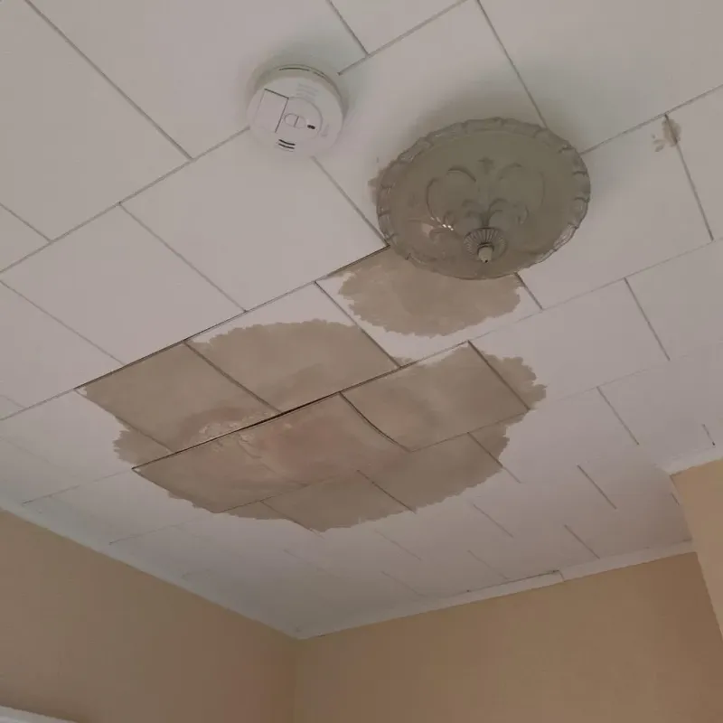 Ceiling Water Damage Repair in East Hampton, VA