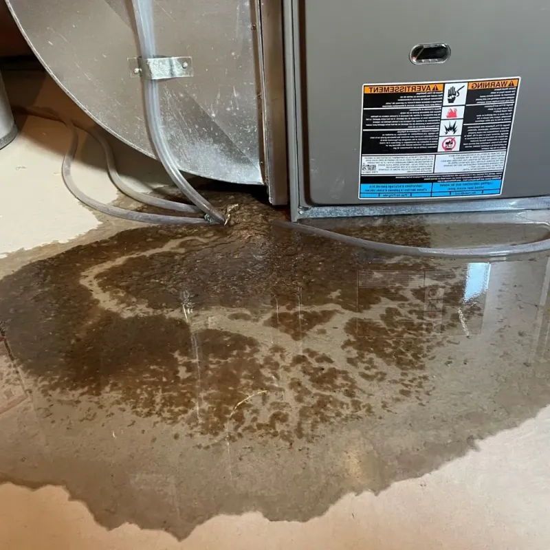 Pipe Burst and Leak Restoration in East Hampton, VA