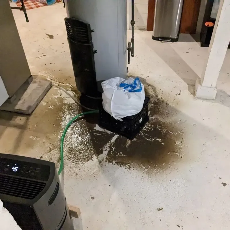Sewage Backup Cleanup Service in East Hampton, VA